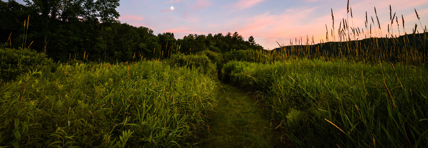 landscape photo of picturesque field with purplish pink sky at dusk